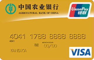 農(nóng)業(yè)銀行金穗雙幣貸記卡 金卡(VISA)